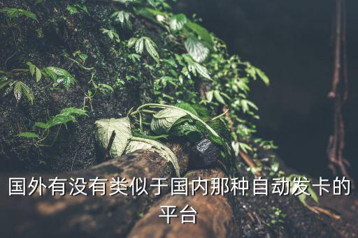 國外有沒有類似于國內(nèi)那種自動發(fā)卡的平臺