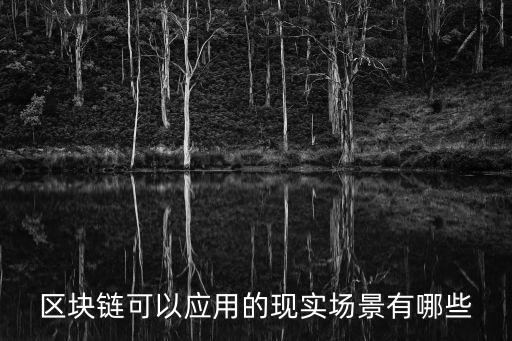 區(qū)塊鏈可以應用的現(xiàn)實場景有哪些
