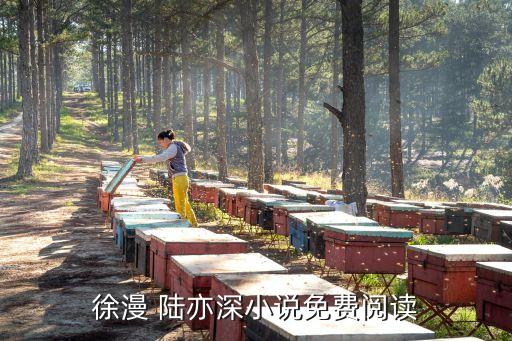 徐漫 陸亦深小說免費(fèi)閱讀