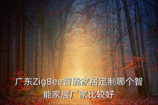 廣東ZigBee智能家居定制哪個(gè)智能家居廠家比較好