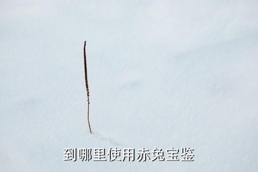 到哪里使用赤兔寶鑒