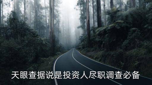 天眼查據(jù)說(shuō)是投資人盡職調(diào)查必備