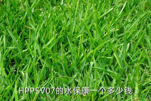 HPPSV07的水?？狄粋€多少錢