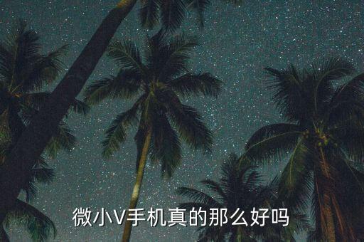 微小V手機(jī)真的那么好嗎