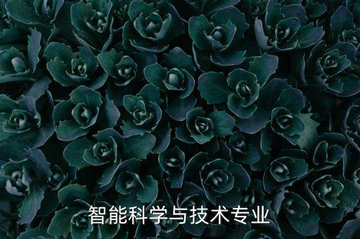 智能科學(xué)與技術(shù)專業(yè)