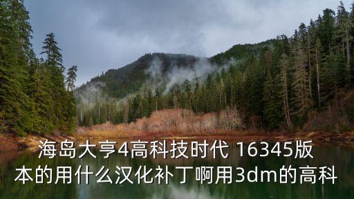 海島大亨4高科技時(shí)代漢化補(bǔ)丁，海島大亨4的20漢化補(bǔ)丁怎么打