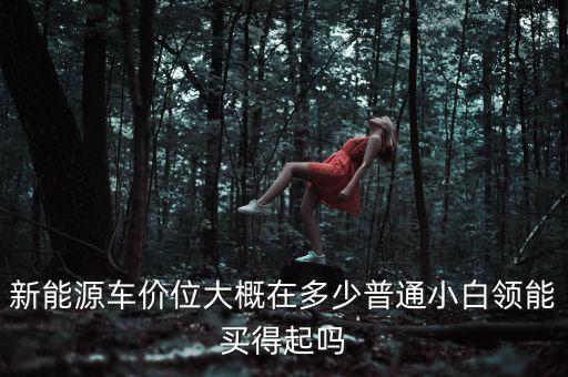 新能源車(chē)價(jià)位大概在多少普通小白領(lǐng)能買(mǎi)得起嗎