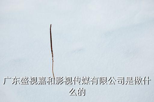 廣東盛視嘉和影視傳媒有限公司是做什么的