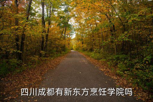 四川成都有新東方烹飪學(xué)院嗎