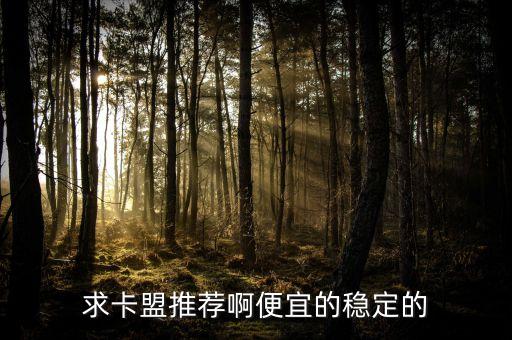 求卡盟推薦啊便宜的穩(wěn)定的