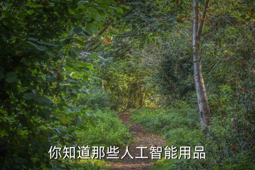 你知道那些人工智能用品