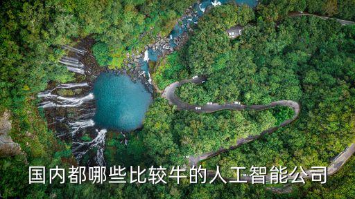 國內(nèi)都哪些比較牛的人工智能公司