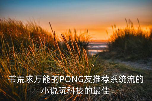 書(shū)荒求萬(wàn)能的PONG友推薦系統(tǒng)流的小說(shuō)玩科技的最佳