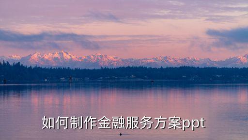 如何制作金融服務(wù)方案ppt