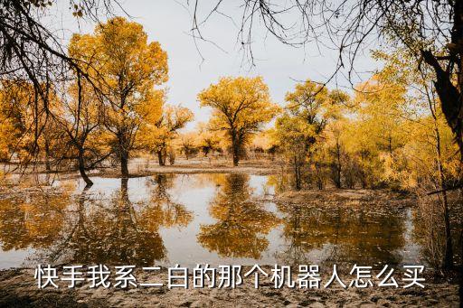 機(jī)器人二白，快手我系二白的那個(gè)機(jī)器人怎么買(mǎi)