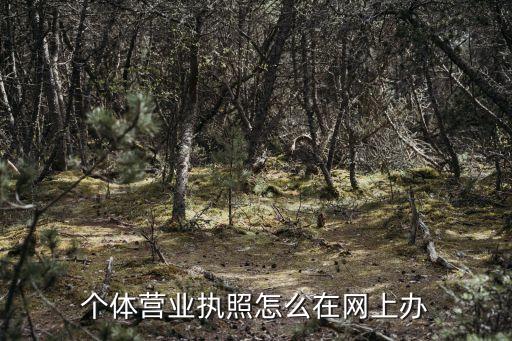 在線營業(yè)執(zhí)照辦理，營業(yè)執(zhí)照怎么辦理網(wǎng)上可以辦嗎