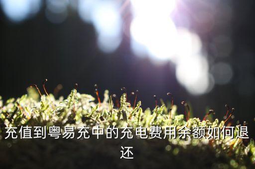 充值到粵易充中的充電費(fèi)用余額如何退還
