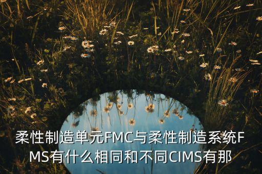 柔性制造單元FMC與柔性制造系統(tǒng)FMS有什么相同和不同CIMS有那
