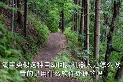 淘寶類似這種自動(dòng)回復(fù)機(jī)器人是怎么設(shè)置的是用什么軟件處理的嗎