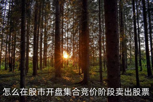 怎么在股市開(kāi)盤集合競(jìng)價(jià)階段賣出股票