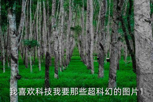我喜歡科技我要那些超科幻的圖片1
