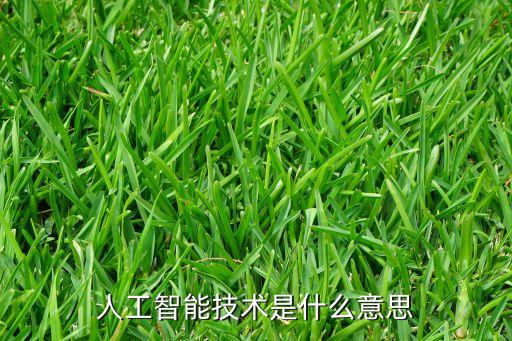 人工智能技術(shù)是什么意思
