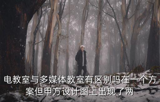 智慧教室和多媒體教室區(qū)別，電教室與多媒體教室有區(qū)別嗎在一個(gè)方案但甲方設(shè)計(jì)圖上出現(xiàn)了兩