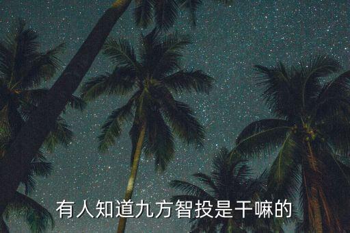 九方智投交了29800穩(wěn)賺嗎，有人知道九方智投是干嘛的
