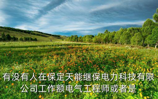 貴州天能電力，貴州天能電力高科技有限公司怎么樣