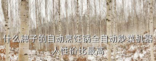 全自動炒菜機(jī)器人的，什么是全自動烹飪機(jī)器人具體有什么功能可以提前預(yù)約做早餐嗎