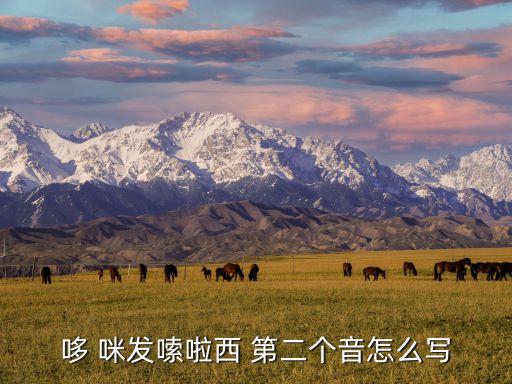 哆 咪發(fā)嗦啦西 第二個音怎么寫