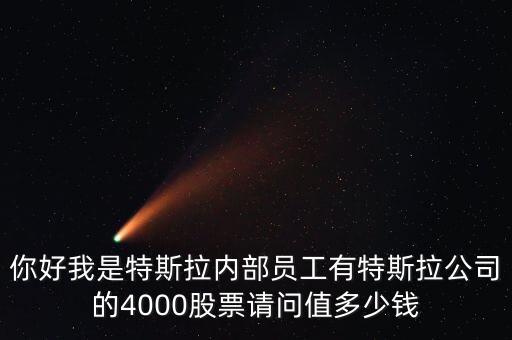 你好我是特斯拉內(nèi)部員工有特斯拉公司的4000股票請問值多少錢