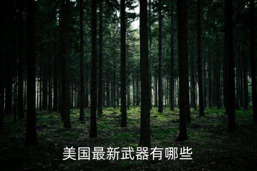 美國最新黑科技武器，美國最新研制的是什么槍