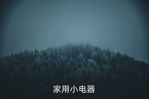 家用小電器