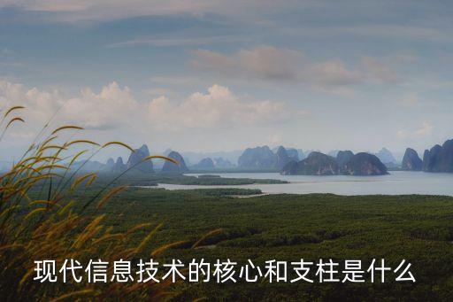現(xiàn)代信息技術(shù)的核心和支柱是什么
