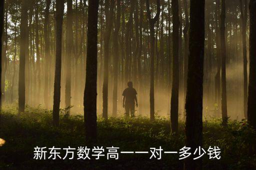 新東方數(shù)學(xué)高一一對一多少錢