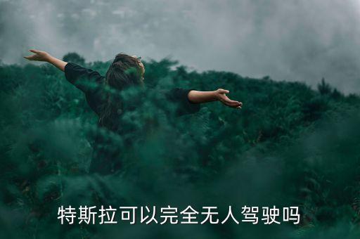 特斯拉可以完全無(wú)人駕駛嗎
