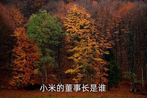 小米的董事長(zhǎng)是誰(shuí)