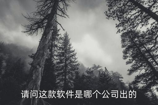 哆哆店主APP是由哪家公司，請問這款軟件是哪個公司出的