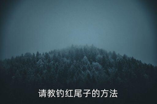 請(qǐng)教釣紅尾子的方法