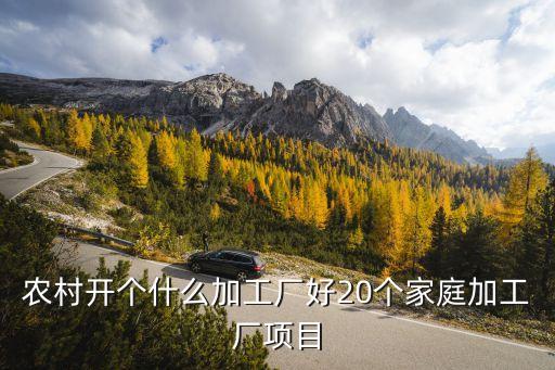農(nóng)村開個(gè)什么加工廠好20個(gè)家庭加工廠項(xiàng)目