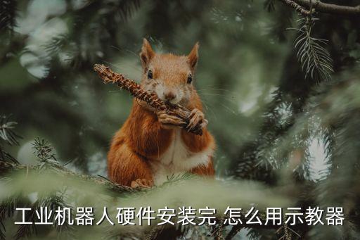 工業(yè)機(jī)器人硬件安裝完 怎么用示教器