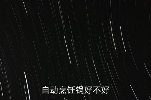 自動烹飪鍋好不好