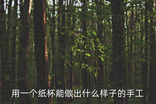 用一個(gè)紙杯能做出什么樣子的手工