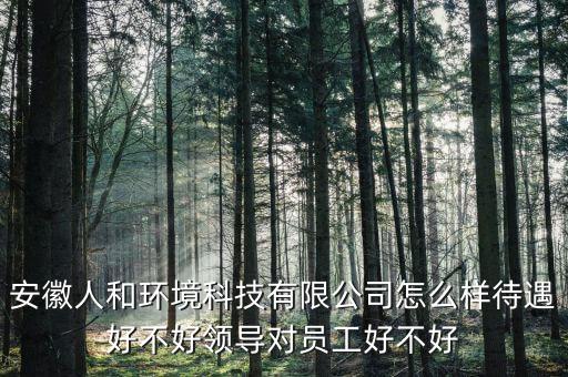 安徽人和環(huán)境科技有限公司怎么樣待遇好不好領(lǐng)導(dǎo)對(duì)員工好不好