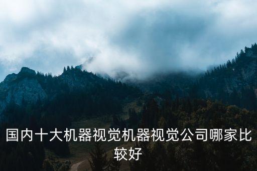 十大機器視覺公司排名，機器視覺領(lǐng)域方面比較有實力的公司是哪個