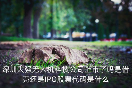 大族機(jī)器人股票代碼，深圳大強(qiáng)無人機(jī)科技公司上市了嗎是借殼還是IPO股票代碼是什么