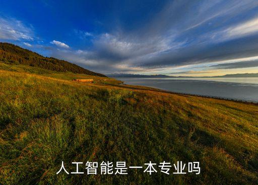 人工智能是一本專業(yè)嗎