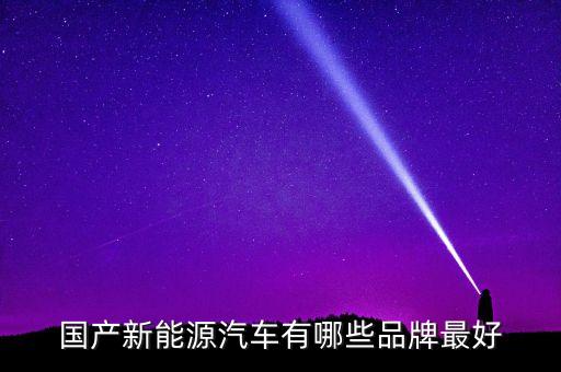 國(guó)內(nèi)新能源汽車排名十強(qiáng)，國(guó)產(chǎn)新能源汽車有哪些品牌最好
