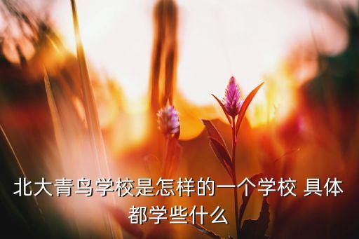 北大青鳥職業(yè)技術(shù)學(xué)院簡介，關(guān)于北大青鳥